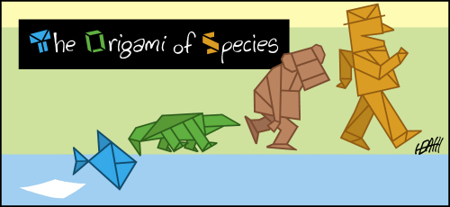 The Origin of Species as Origami