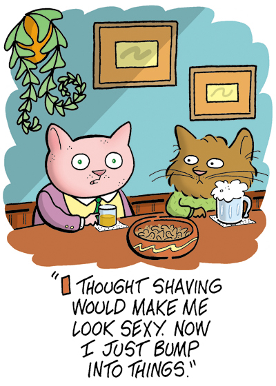 shaved cat card400